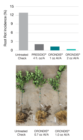Bar chart showing the efficacy of Orondis fungicide in controlling root rot, compared to Presidio and untreated California citrus trees, next to a photo of an untreated tree compared to two different treatment doses of Orondis.