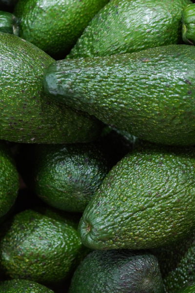 Avocado