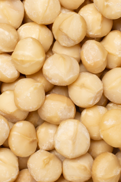 Macadamia Nut