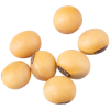 Soybean