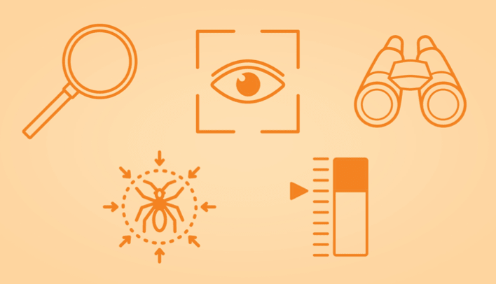 Graphic showing magnifying glass, eye, binoculars, etc.