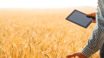 A man holding a tablet