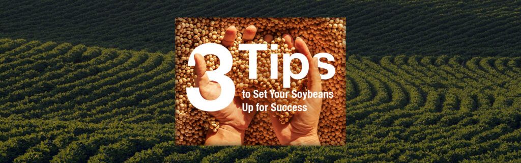 An image of hands sifting through healthy soybean seeds overlays a background image of clean rows of healthy soybeans.