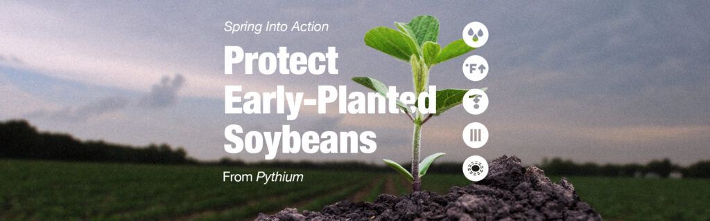 A health soybean seedling in front of a background of a clean field. There is text that reads 